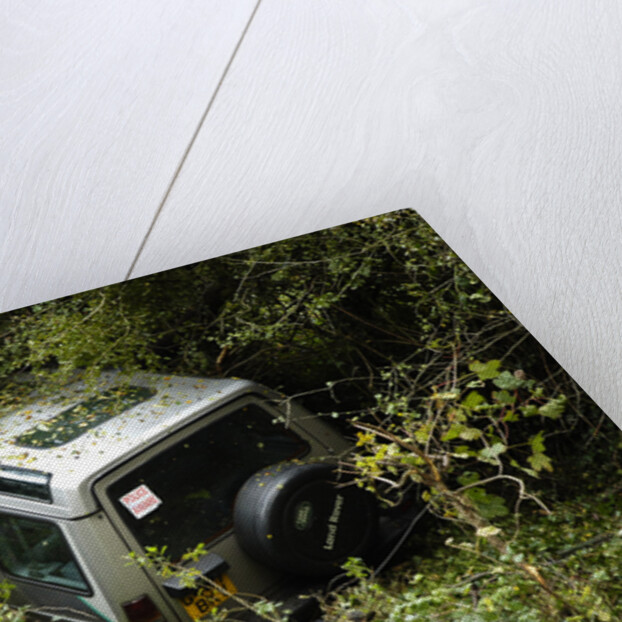 Land Rover Discorery 1990 Accident by Unknown