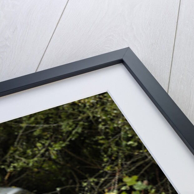 Land Rover Discorery 1990 Accident by Unknown