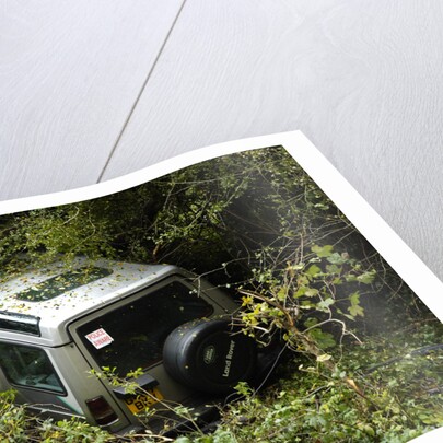 Land Rover Discorery 1990 Accident by Unknown