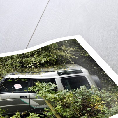 Land Rover Discorery 1990 Accident by Unknown