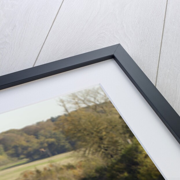 A34 South of Chievely Services 2005 by Unknown