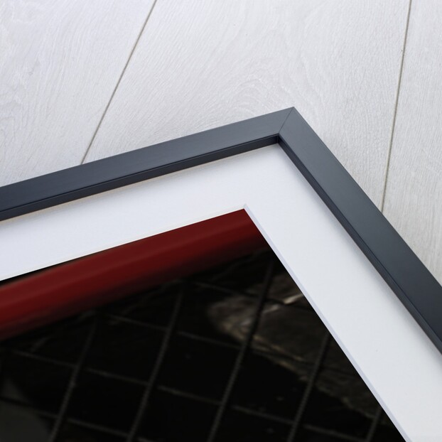 2004 Ferrari Enzo by Unknown