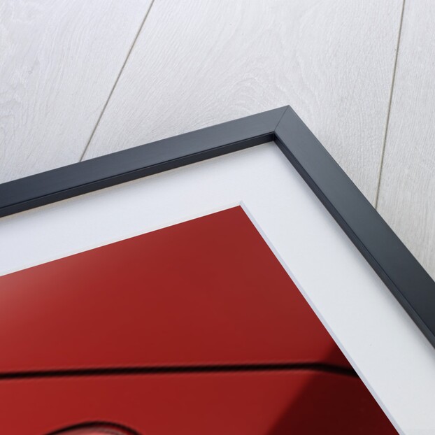 2004 Ferrari Enzo by Unknown