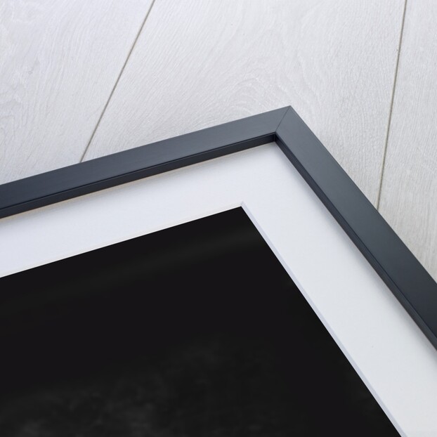 2004 Ferrari Enzo by Unknown