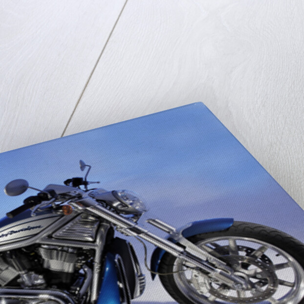 2005 Harley Davidson VRSCR Street Rod by Unknown