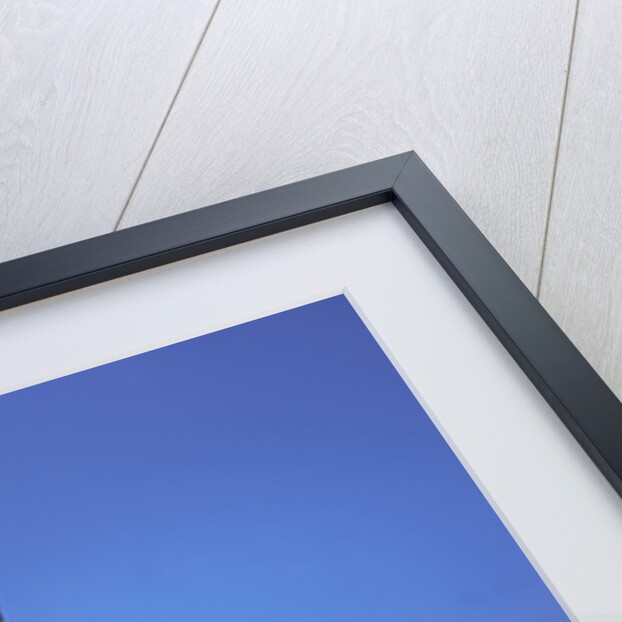 2005 Harley Davidson VRSCR Street Rod by Unknown