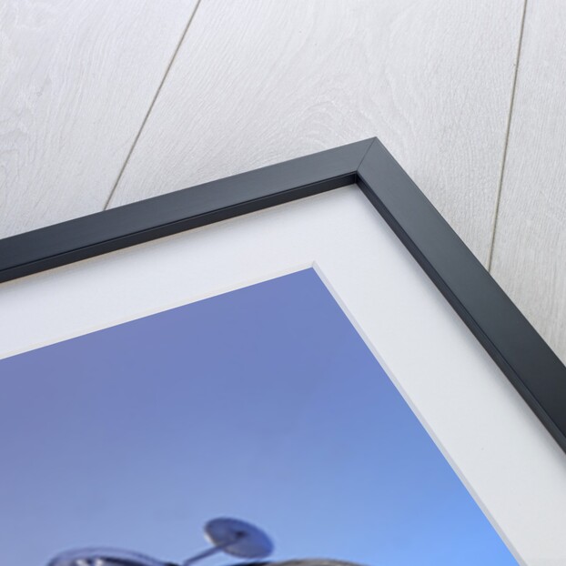 2005 Harley Davidson VRSCR Street Rod by Unknown