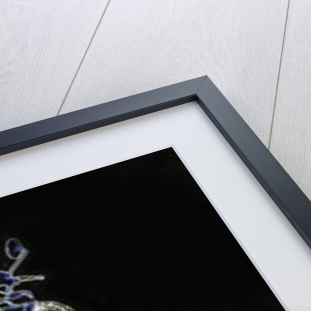 2005 Harley Davidson VRSCR Street Rod by Unknown