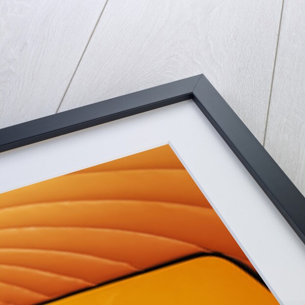 1972 Mini Outspan Orange by Unknown