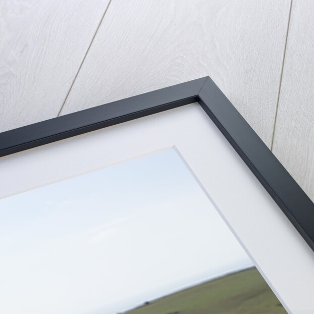 2006 Jaguar XK by Unknown