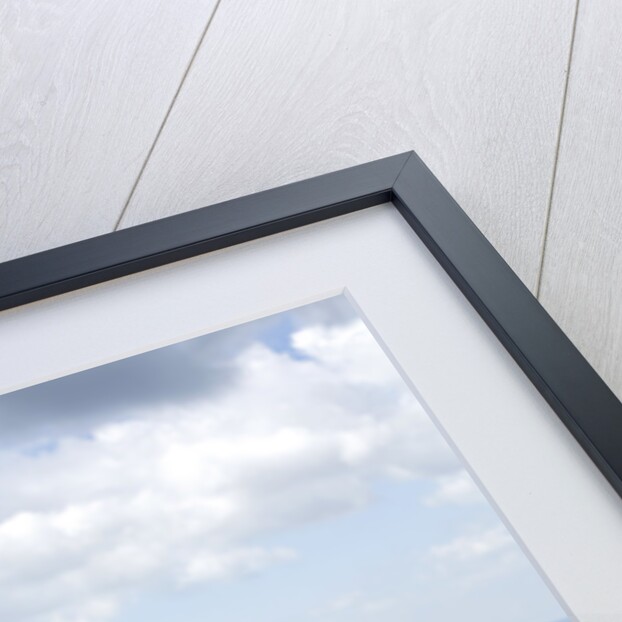 2006 Jaguar XK by Unknown