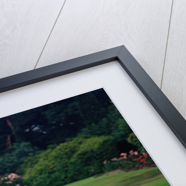 1956  Ferrari 410 Superfast by Unknown