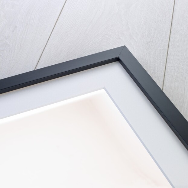 2006 Toyota Prius Hybrid by Unknown