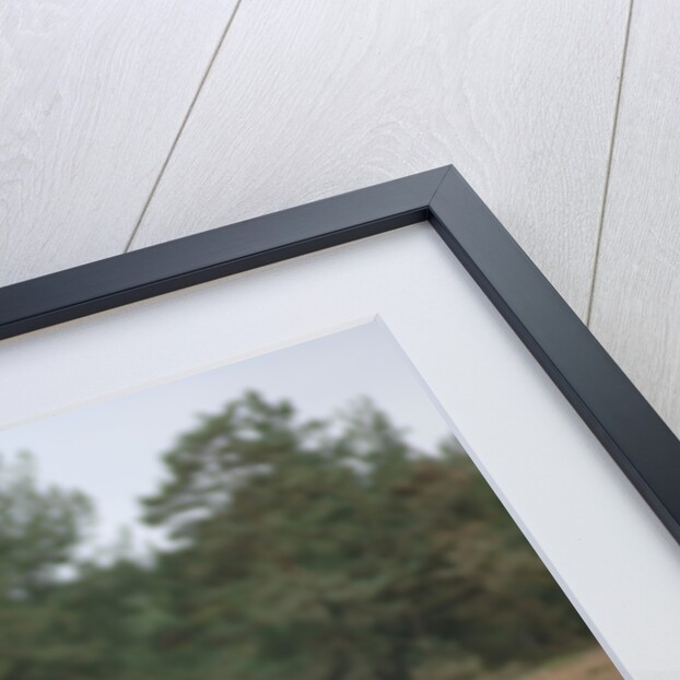 2006 Lexus IS 250 by Unknown