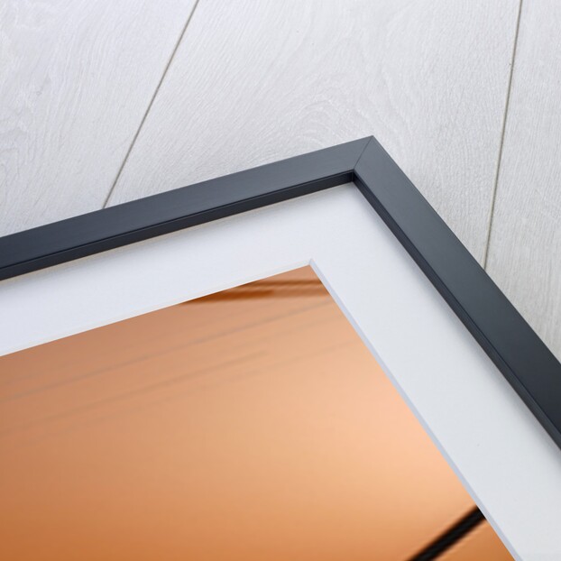 2006 Nissan 350 Z by Unknown