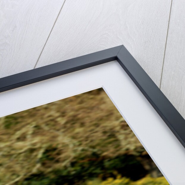 2006 Volkswagen Polo 1.2 by Unknown