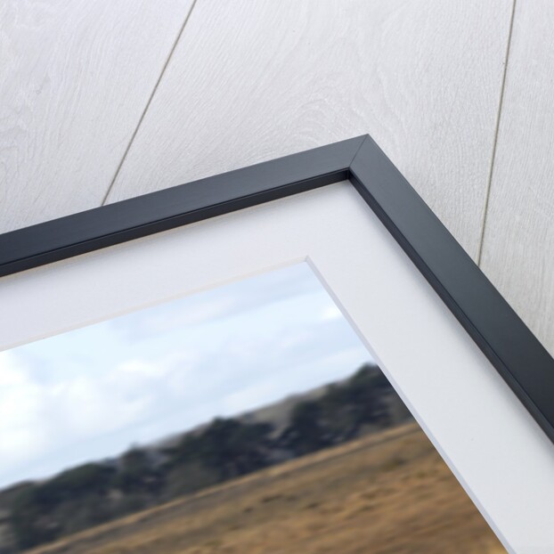 2006 Volkswagen Polo 1.2 by Unknown