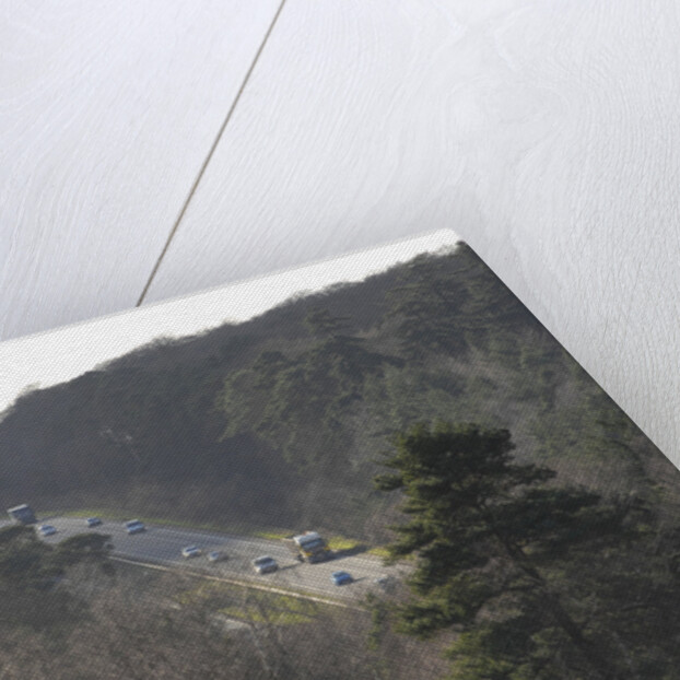 The A31 Dual Carriageway through New Forest by Unknown