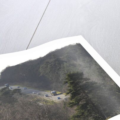 The A31 Dual Carriageway through New Forest by Unknown