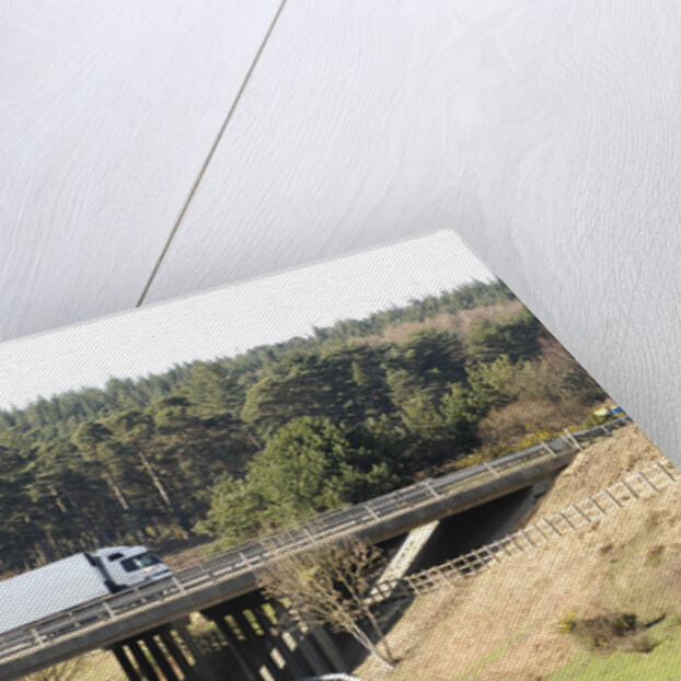 The A31 Dual Carriageway through New Forest by Unknown