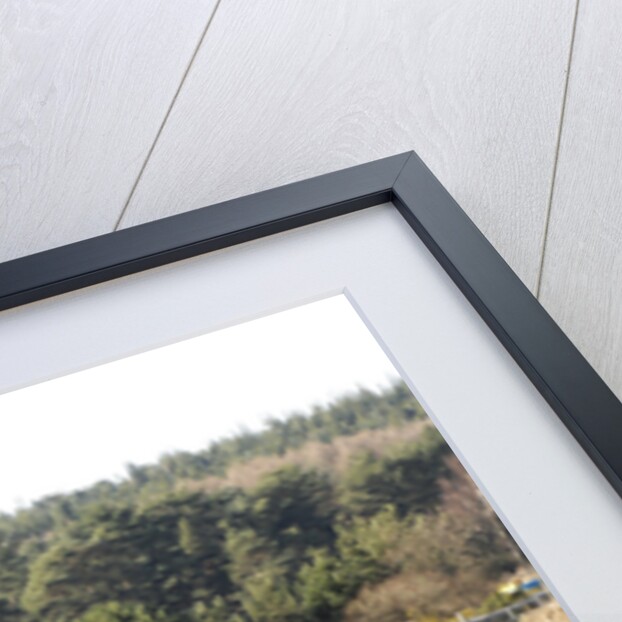 The A31 Dual Carriageway through New Forest by Unknown