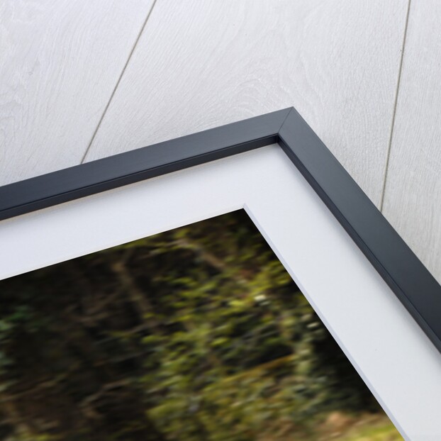 2006 Volvo C70 Convertible by Unknown