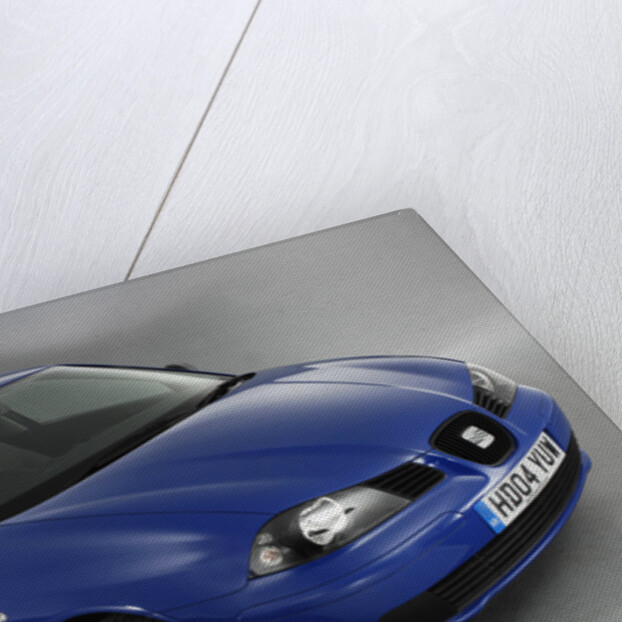 2004 Seat Ibiza by Unknown