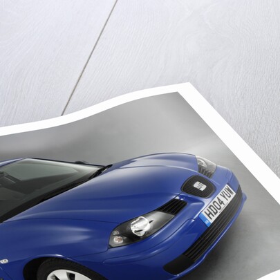 2004 Seat Ibiza by Unknown