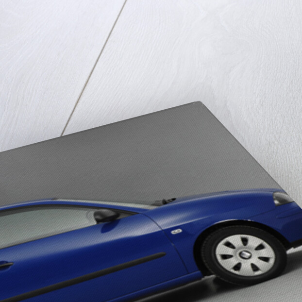 2004 Seat Ibiza by Unknown