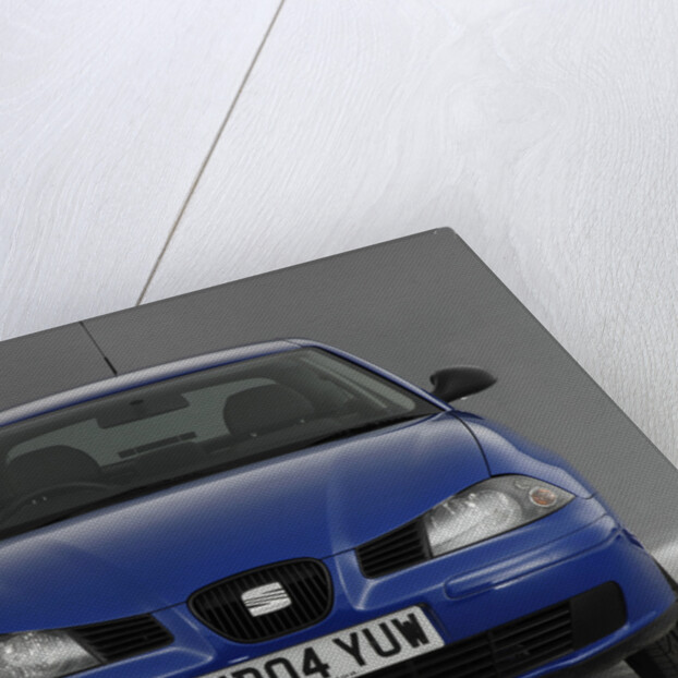 2004 Seat Ibiza by Unknown