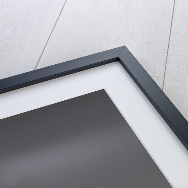 2007 Pagani Zonda Roadster F by Unknown