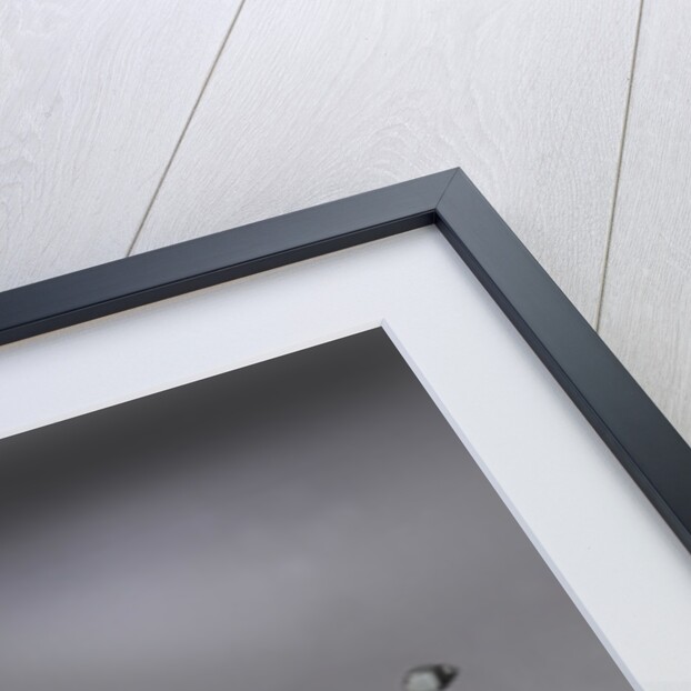 2007 Pagani Zonda Roadster F by Unknown