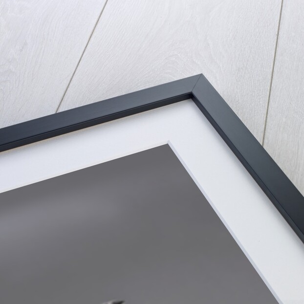 2007 Pagani Zonda Roadster F by Unknown