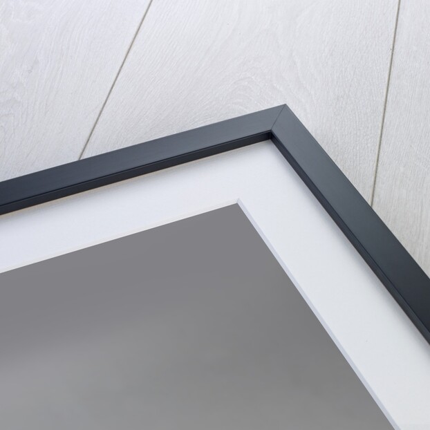 1954 Jaguar XK120 SE by Unknown