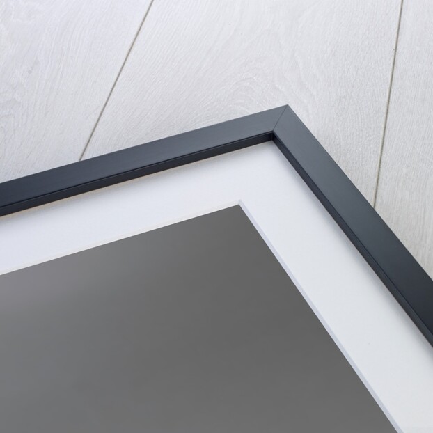 1977 Lotus Europa JPS Special by Unknown