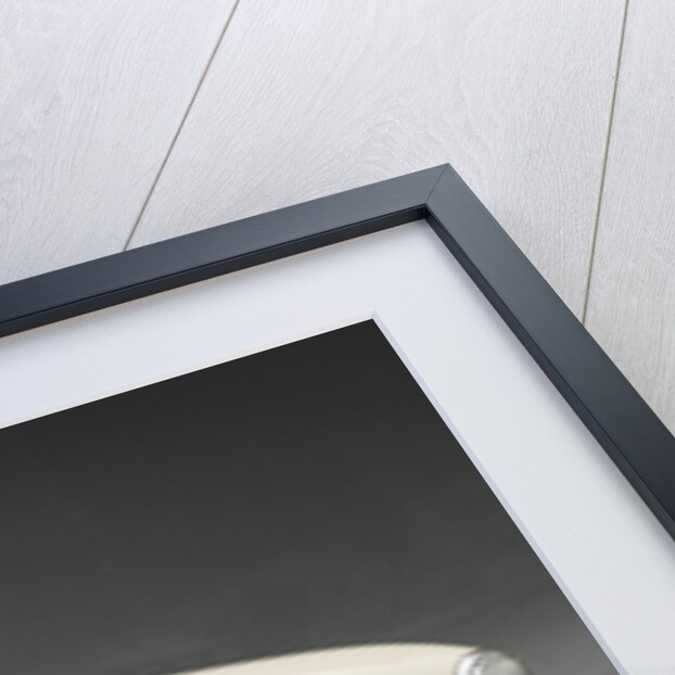 1957 Lotus Elite by Unknown