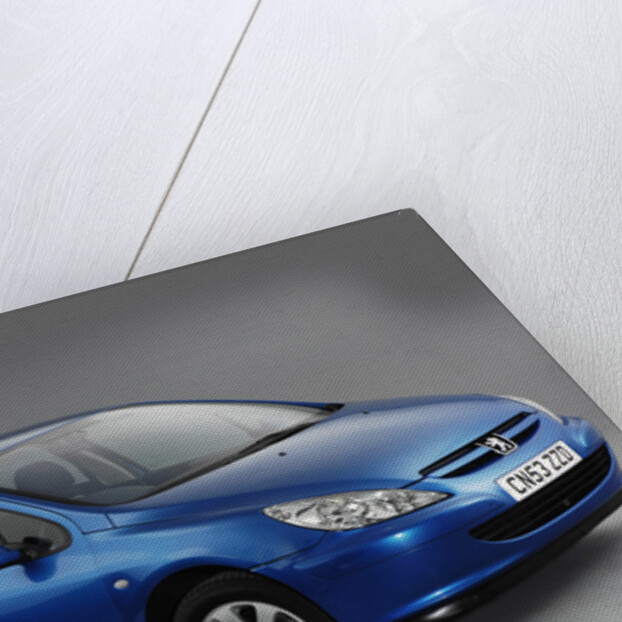 2003 Peugeot 307 by Unknown