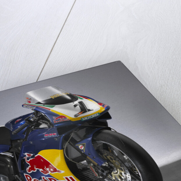 2000 & 2001 Ducati racing bike by Unknown