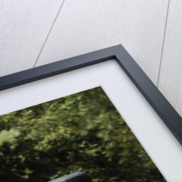 2007 Toyota HiLux Arctic Explorer by Unknown