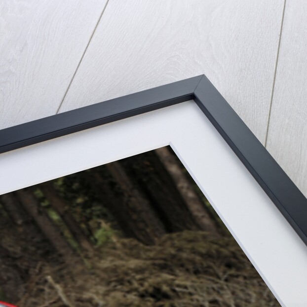 2007 Toyota HiLux Arctic Explorer by Unknown