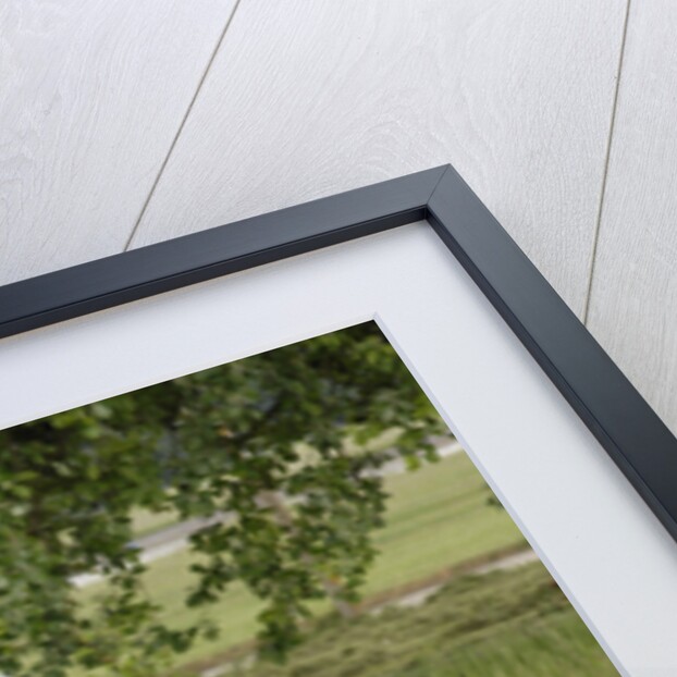 1954 Ferrari 250 GT Europa by Unknown