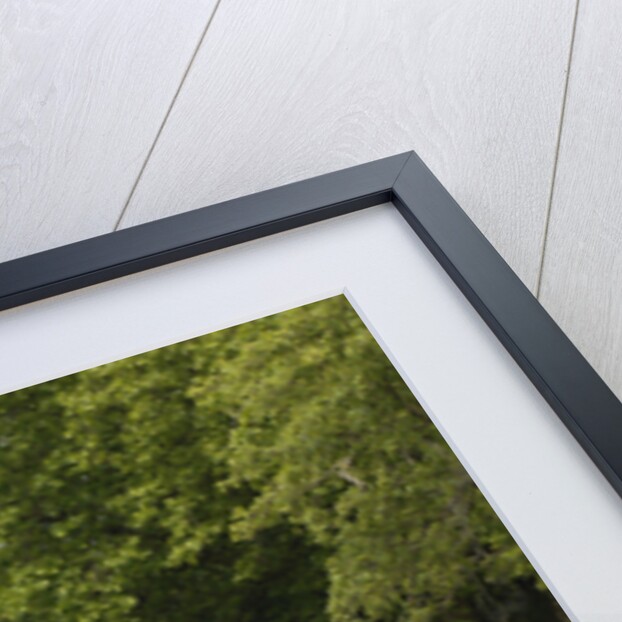 1938 Lancia Astura Convertible by Unknown