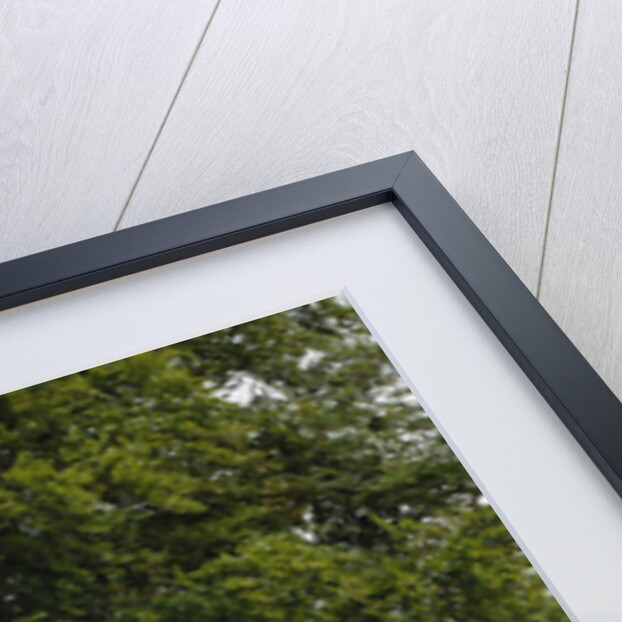 1938 Lancia Astura Lungo Mussolini by Unknown