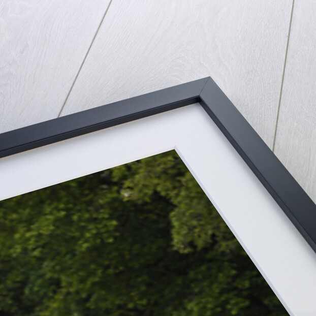 1966 Mercedes Benz 230 SL by Unknown