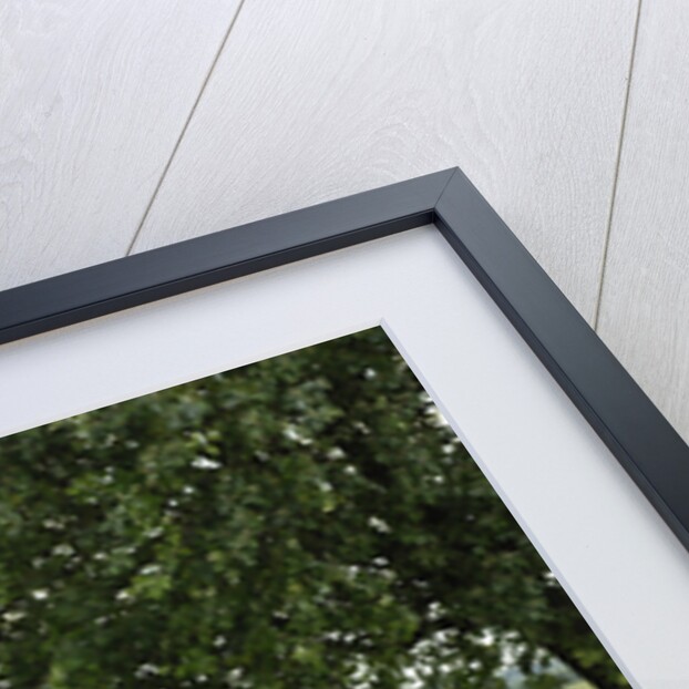 1960 Porsche 356B 1600 Cabriolet by Unknown