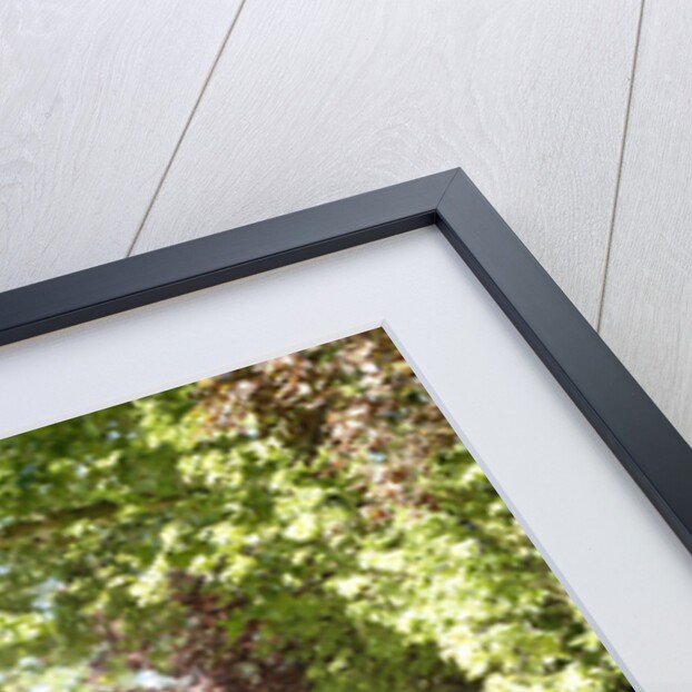 1940 SS100 Jaguar Roadster by Unknown