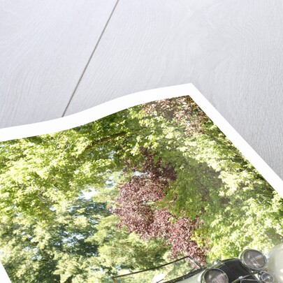 1940 SS100 Jaguar Roadster by Unknown