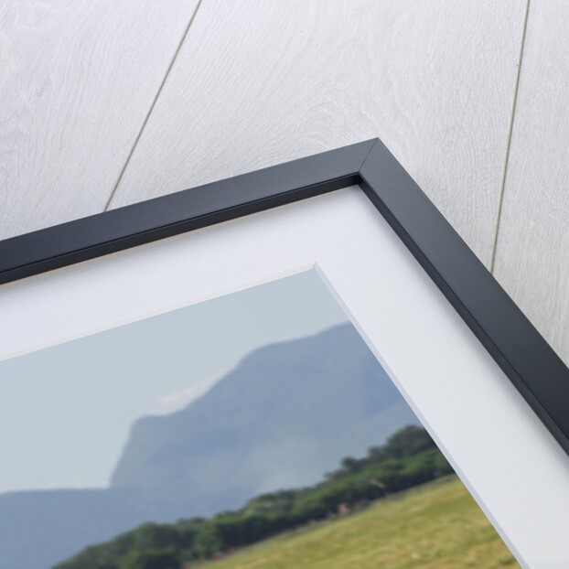 1965 Bizzarrini 5300 GT America by Unknown