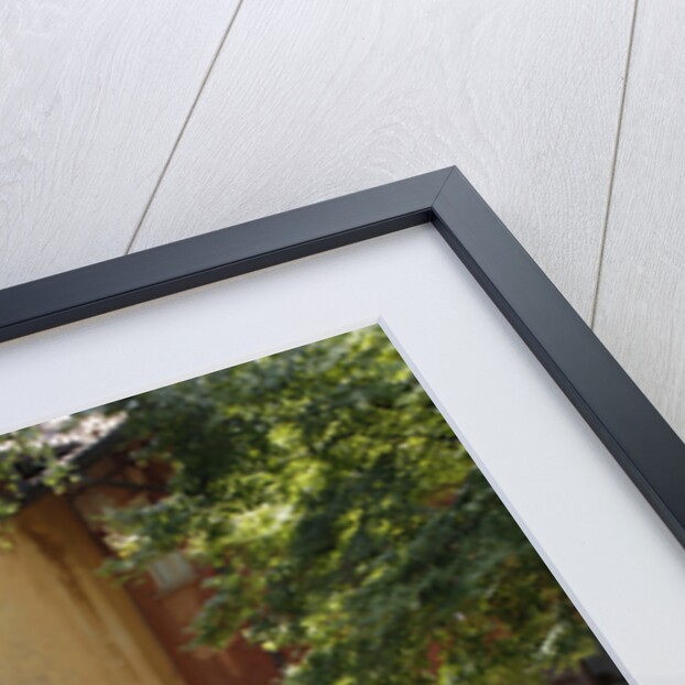 1962 Ferrari 250 GTE 2+2 by Unknown