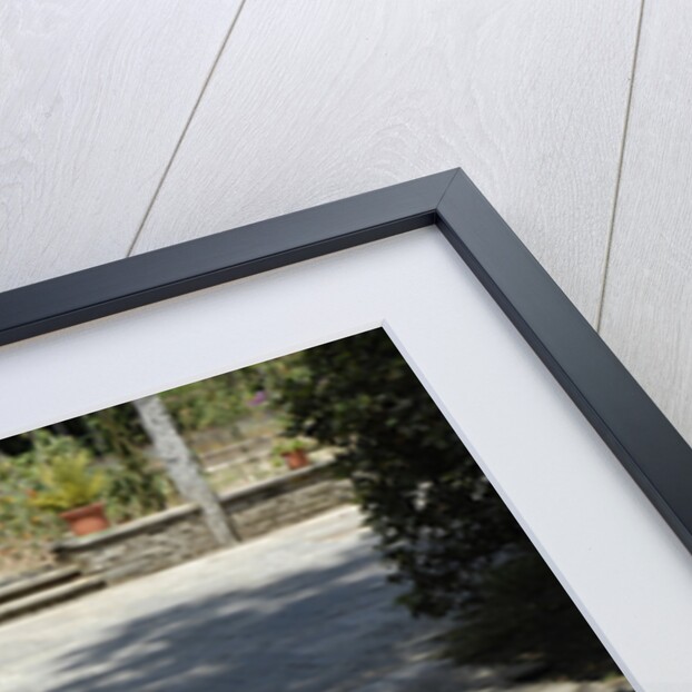 1962 Ferrari 250 GTE 2+2 by Unknown